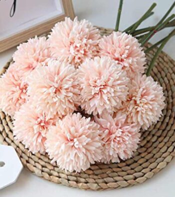 Chrysanthemums-Flower-2