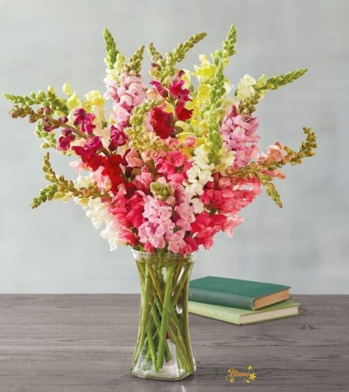 Snapdragon Bouquet