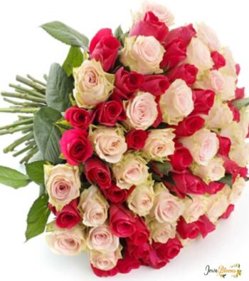 50 Roses Gift Bouquet1