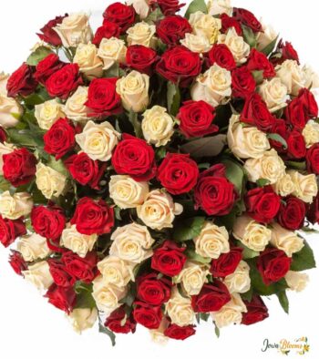 50 Roses Gift Bouquet 2 50 Roses Gift Bouquet