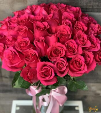 50 Roses Gift Bouquet 3 50 Roses Gift Bouquet