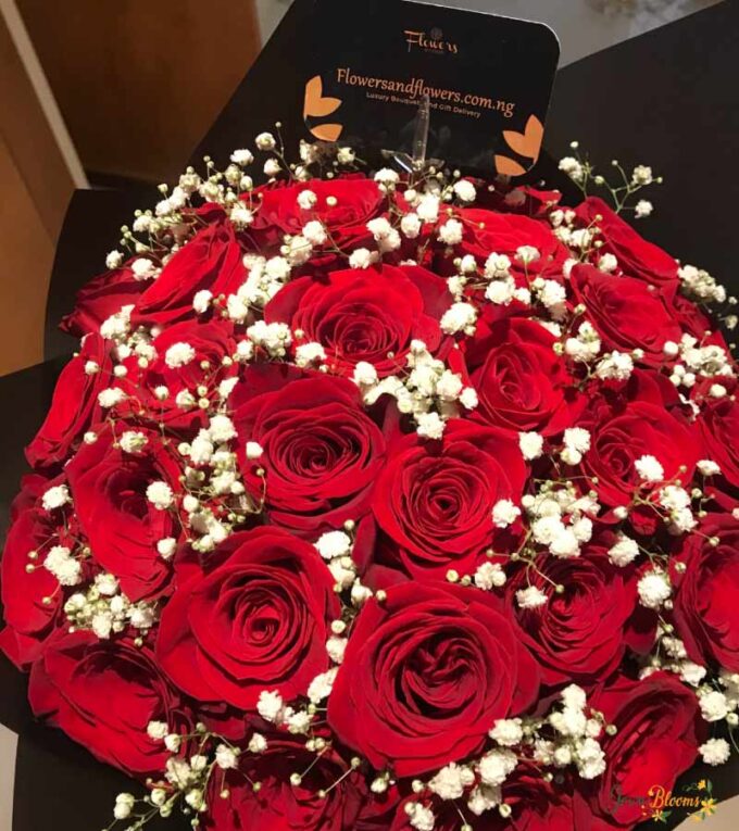 Red Roses with Gypsophila Bouquet